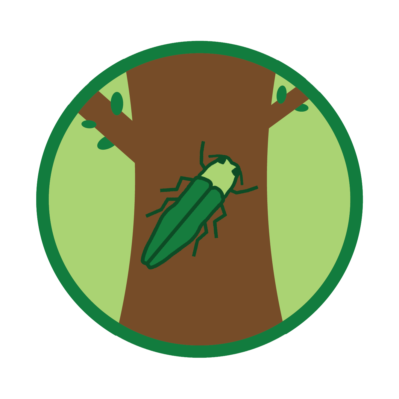 Emerald Ash Borer Treatment Status