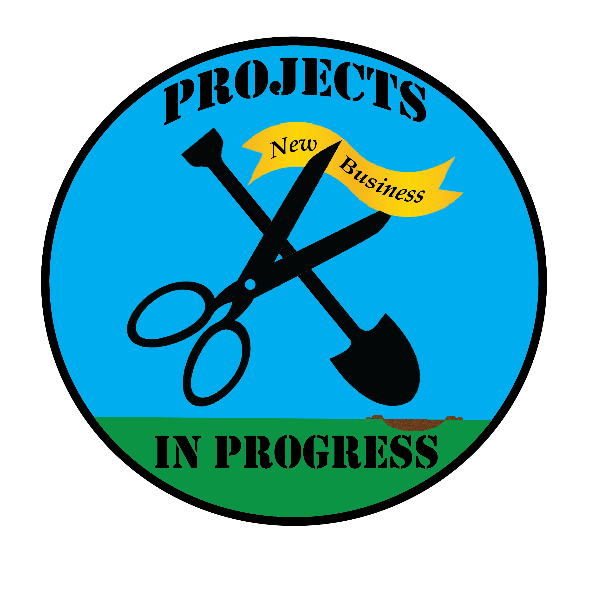 Projects in Progress