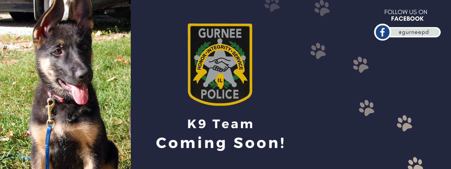 K9 website banner